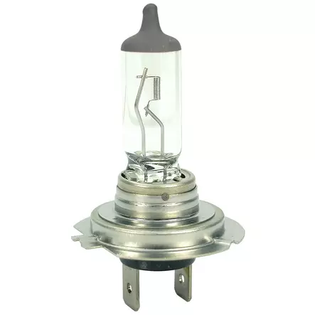 POLTTIMO H7 STD 55W - Halogen-polttimot - PB12012 - 1
