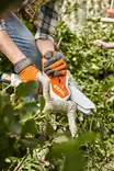 STIHL GTA 26 OKSASAHA / PUUTARHASAHA - Oksasahat - GA010116918 - 3