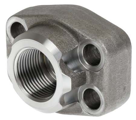SAE-KIINTOLAIPPA 3/4 BSP 3000PSI - Sae-kierrelaipat ja tiivisteet - AFS100G - 1